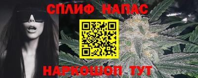 сатива Аргун